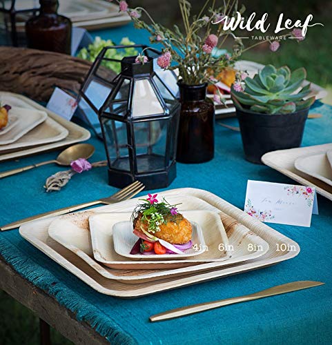All Natural Palm Leaf Paper Plates, 8 Inch / 25 Pack. Biodegradable, Heavy Duty Party Plates - Comparable to Bamboo Wood Fiber - Elegant and Eco Friendly Tableware by Wild Leaf