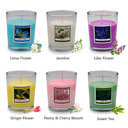 Set of 12 Scented Candles with 6 Fragrance, Natural Soy Wax Glass Votive Candles for Home Scented and Stress Relief, Christmas Thanksgiving Return Gift for Women/Girl