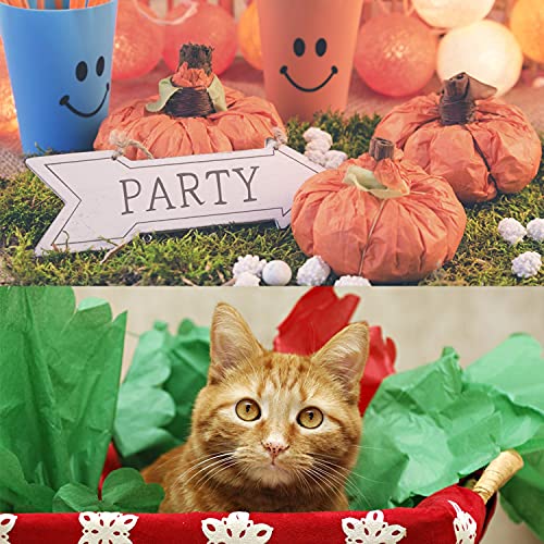 KESOTE Colored Tissue Paper for Gift Bags Crafts, 14" x 20" Tissue Paper Bulk 100 Sheets Gift Paper Tissue for Packaging - 20 Colors