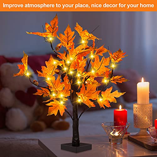 24-inch Fall Lighted Maple Tree with Acorns, 24 LED Lights, Battery Operated Thanksgiving Table Centerpieces Decoration Artificial Tree for Home Desktop Fireplace Autumn Harvest Tabletop Indoor Decor
