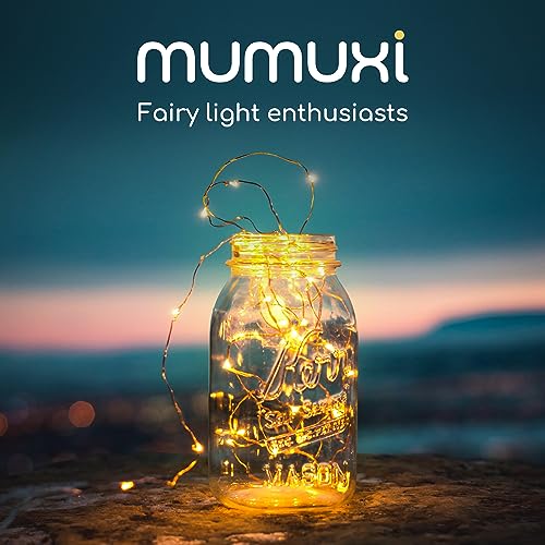 MUMUXI Led Fairy Lights Battery Operated Lights [16 Pack] Mason Jars Centerpiece Wedding Decor String Lights Battery Powered Lights, Christmas, Copper Wire Small Battery Fairy Lights (10ft Warm White)