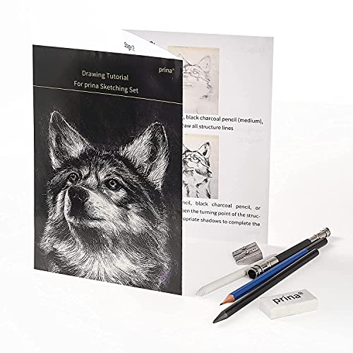Prina 50 Pack Drawing Set Sketch Kit, Pro Art Sketching Supplies with 3-Color Sketchbook, Graphite, and Charcoal Pencils for Artists Adults Teens Beginner Kid, Ideal for Shading, Blending