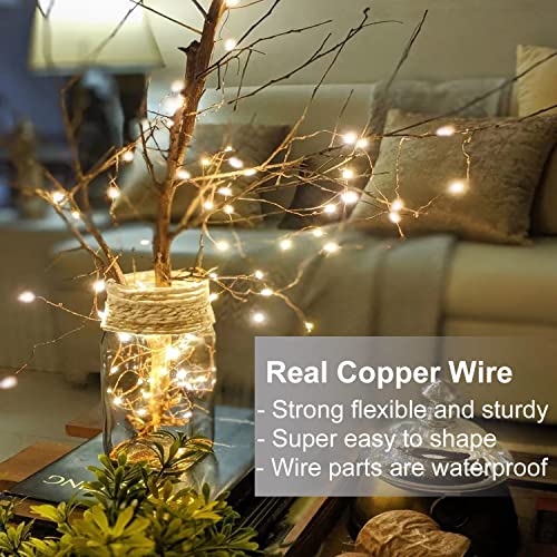 LEDIKON 20 Pack LED Fairy Lights Battery Operated String Lights - 3.3ft 20 LED,Copper Wire Warm White | Wedding,Party Centerpieces,Table Decor | DIY Crafts,Graduation,Home Decor | Mason Jars Décor