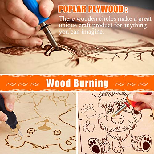 Round Wood Discs for Crafts, Audab 5 Pack 14 Inch Wood Circles Unfinished Wood Rounds Plaque for Door Hanger, Door Design, Wood Burning