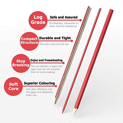 covacure Colored Pencils, Premier Color Pencil Set With 36 Colouring Pencils,Sharpener and Canvas Pencil Bag