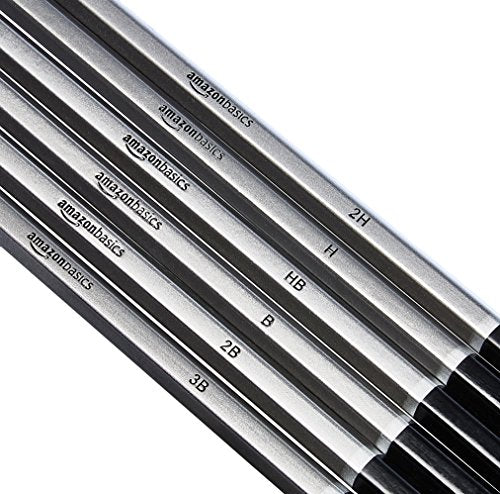 Amazon Basics Sketch and Drawing Art Pencil Kit, 17 Piece Set, Charcoal, Black, White