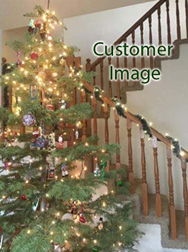 Christmas Tree Pine Green Frost Tip Tinsel Garland Snowy Metallic Streamers Green White Tinsel Garland Celebrate a Holiday Party Ceiling Hanging Decors Indoor and Outdoor Disco Party Supplies