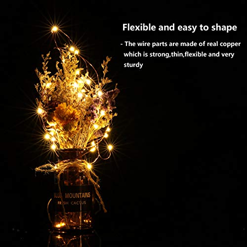 LEDIKON 20 Pack LED Fairy Lights Battery Operated String Lights - 3.3ft 20 LED,Copper Wire Warm White | Wedding,Party Centerpieces,Table Decor | DIY Crafts,Graduation,Home Decor | Mason Jars Décor