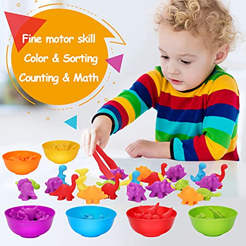 Counting Dinosaurs Toys Matching Games for Kids with Sorting Bowls Toddler Learning Activities Manipulatives Preschool Must Have Counters Montessori Fine Motor Skills Toys Age 2 3 4 5 Years (102 PCS)