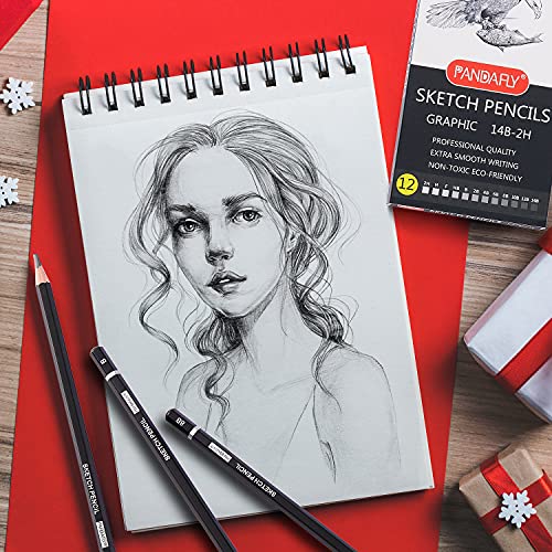PANDAFLY Professional Drawing Sketching Pencil Set - 12 Pieces Graphite Pencils(14B - 2H), Ideal for Drawing Art, Sketching, Shading, Artist Pencils for Beginners & Pro Artists