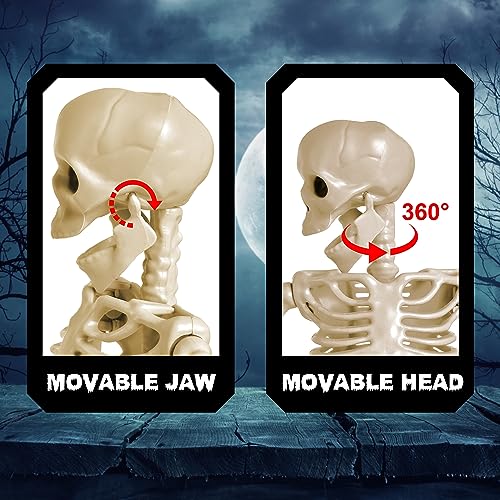 FUN LITTLE TOYS 24 Inches Halloween Posable Skeleton, Full Body Skeleton Movable Joints, Plastic Bones for Hanging Halloween Decorations
