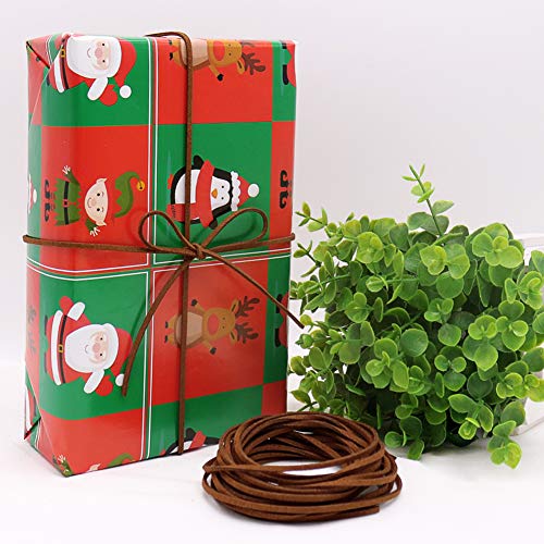 Tenn Well 2.6mm Suede Cord, 100 Yards Flat Faux Leather Cord for Jewelry Making, Necklace and Bracelet Making, Dream Catchers and DIY Crafts (Brown)