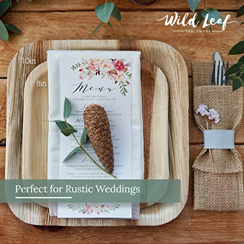 All Natural Palm Leaf Paper Plates, 8 Inch / 25 Pack. Biodegradable, Heavy Duty Party Plates - Comparable to Bamboo Wood Fiber - Elegant and Eco Friendly Tableware by Wild Leaf
