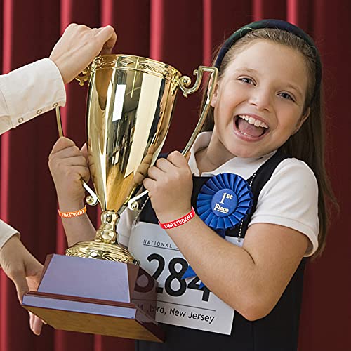 Wehhbtye 24PCS Star Student Wristbands-Color Star Student Silicone Bracelets,Star Student rubber Bracelets for School Classroom Teacher Recognition Award, Sports Office Education Activities Kids