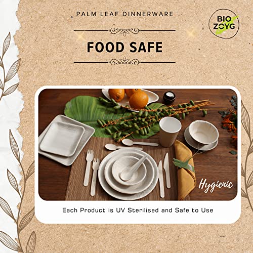 BIOZOYG | 9 inch & 6 inch & 3 inch Square Combo Plates 75 pcs | Disposable Plates | Like Bamboo plates | Palm leaf Plates for Dinner | Compostable Plates | Picnic Party Plates better than Paper Plates