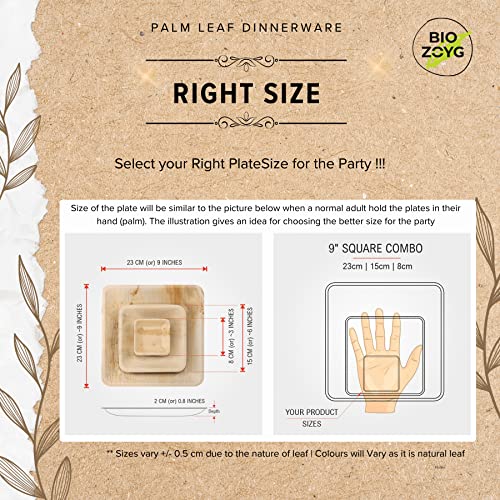 BIOZOYG | 9 inch & 6 inch & 3 inch Square Combo Plates 75 pcs | Disposable Plates | Like Bamboo plates | Palm leaf Plates for Dinner | Compostable Plates | Picnic Party Plates better than Paper Plates