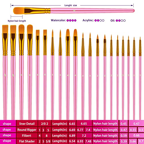 Paint Brushes Set, 20 Pcs Paint Brushes for Acrylic Painting, Oil Watercolor Acrylic Paint Brush, Artist Paintbrushes for Body Face Rock Canvas, Kids Adult Drawing Arts Crafts Supplies, Pink