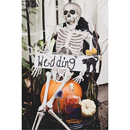 FUN LITTLE TOYS 24 Inches Halloween Posable Skeleton, Full Body Skeleton Movable Joints, Plastic Bones for Hanging Halloween Decorations