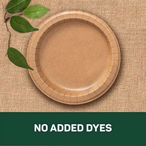 Dixie EcoSmart from The Makers of Dixie 100% Recycled Fiber Paper Plates, 8.5in Lunch or Light Dinner Size Disposable, 50 Eco-Friendly Plates