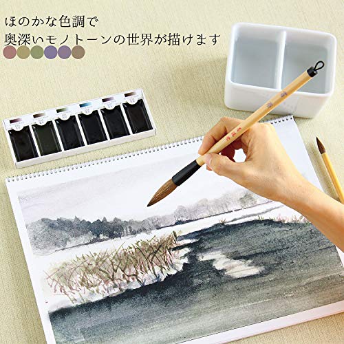 Boku-Undo E-Sumi Watercolor Paint 6 Colors Set from Japan (Standard)
