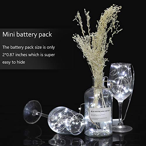 LEDIKON 24 Pack Cool White Fairy Lights Battery Operated 3.3ft 20 LED Firefly Lights, Waterproof Mini String Lights for Wedding Party Crafts Mason Jars Decor