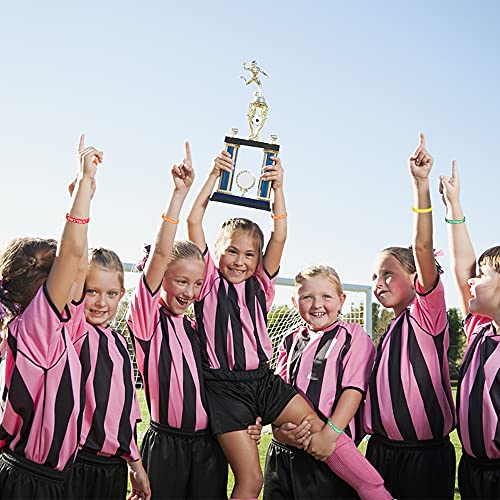 Wehhbtye 24PCS Star Student Wristbands-Color Star Student Silicone Bracelets,Star Student rubber Bracelets for School Classroom Teacher Recognition Award, Sports Office Education Activities Kids