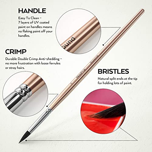 Nicpro Watercolor Paint Set, 48 Water Colors Kit with 3 Squirrel Brushes, Palette, Watercolor Pen, Non-toxic Painting Supplies for Kids, Adults, Students, Beginners and Artists