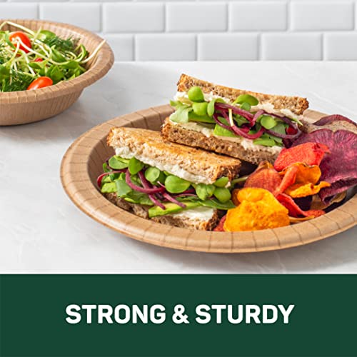 Dixie EcoSmart from The Makers of Dixie 100% Recycled Fiber Paper Plates, 8.5in Lunch or Light Dinner Size Disposable, 50 Eco-Friendly Plates