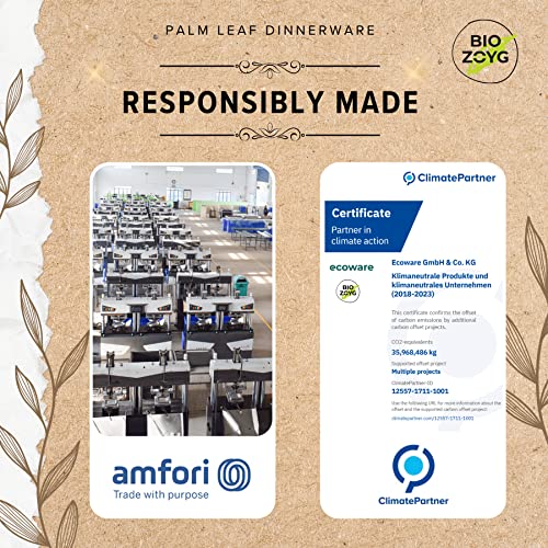 BIOZOYG | 9 inch & 6 inch & 3 inch Square Combo Plates 75 pcs | Disposable Plates | Like Bamboo plates | Palm leaf Plates for Dinner | Compostable Plates | Picnic Party Plates better than Paper Plates