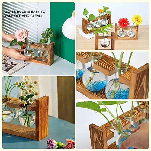 Kingbuy Plant Propagation Station Glass Terrarium Planter Flower Vase with Retro Solid Wooden Stand for Home Kitchen Indoor Garden Wedding Desktop Decor, 3 Bulb Vase