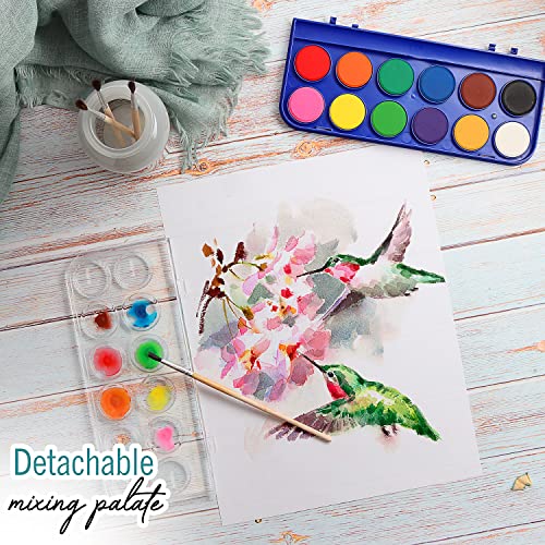 2 Pack Watercolor Paint Set 12 Vivid Colors Includes Watercolour Mixing Palette and 1 Brushe, Perfect For Artists, Beginner Painters, Kids and Adult Painting