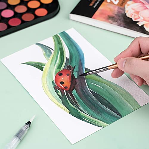Nicpro Watercolor Paint Set, 48 Water Colors Kit with 3 Squirrel Brushes, Palette, Watercolor Pen, Non-toxic Painting Supplies for Kids, Adults, Students, Beginners and Artists