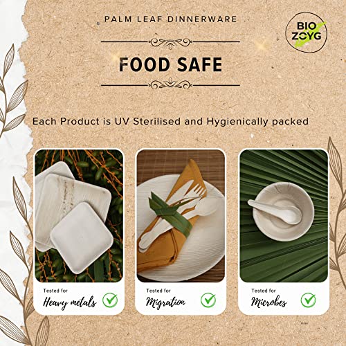 BIOZOYG | 9 inch & 6 inch & 3 inch Square Combo Plates 75 pcs | Disposable Plates | Like Bamboo plates | Palm leaf Plates for Dinner | Compostable Plates | Picnic Party Plates better than Paper Plates