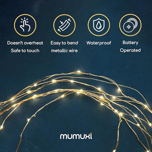 MUMUXI LED Fairy Lights Battery Operated String Lights [20 Pack], 3.3ft 20 Mini Fairy Lights Battery Powered Party Wedding Centerpiece Decorations Crafts Mason Jar Lights Firefly Lights, Warm White