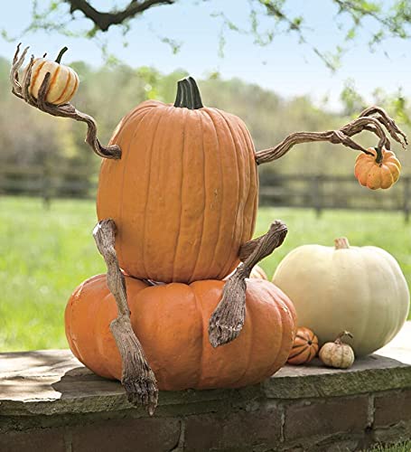 Plow & Hearth Set of 4 Bendable Pumpkin Arms and Legs | Create Whimsical Halloween Decor | Spooky Vine Design | Includes 2 arms and 2 Legs