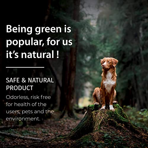 SamaN Interior Water Based Wood Stain - Natural Stain for Furniture, Moldings, Wood Paneling, Cabinets (Antique Walnut TEW-212-12, 12 oz)