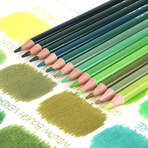 qianshan 12 Green Colored Pencils Oil Based Pre-sharpened Wooden Colored Pencil Set for Adults Coloring Books Drawing Sketching Art Supplies, No Duplicates