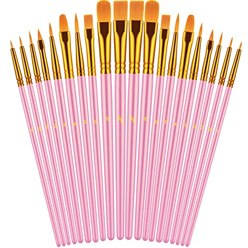 Paint Brushes Set, 20 Pcs Paint Brushes for Acrylic Painting, Oil Watercolor Acrylic Paint Brush, Artist Paintbrushes for Body Face Rock Canvas, Kids Adult Drawing Arts Crafts Supplies, Blush