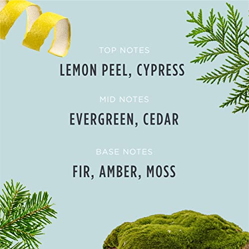 Santa's Naturals Fraser Fir Christmas Candle | Fresh Cut Christmas Tree Fragrance | Sustainably Sourced Soy and Beeswax | 30 Hour Burn Time | 9oz | 2 Pack