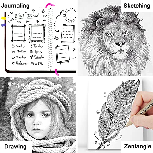Micro Fineliner Drawing Art Pens: 12 Black Fine Line Waterproof Ink Set Artist Supplies Archival Inking Markers Liner Professional Sketch Outline Crafts Anime Sketching Watercolor Zentangle Kit Stuff