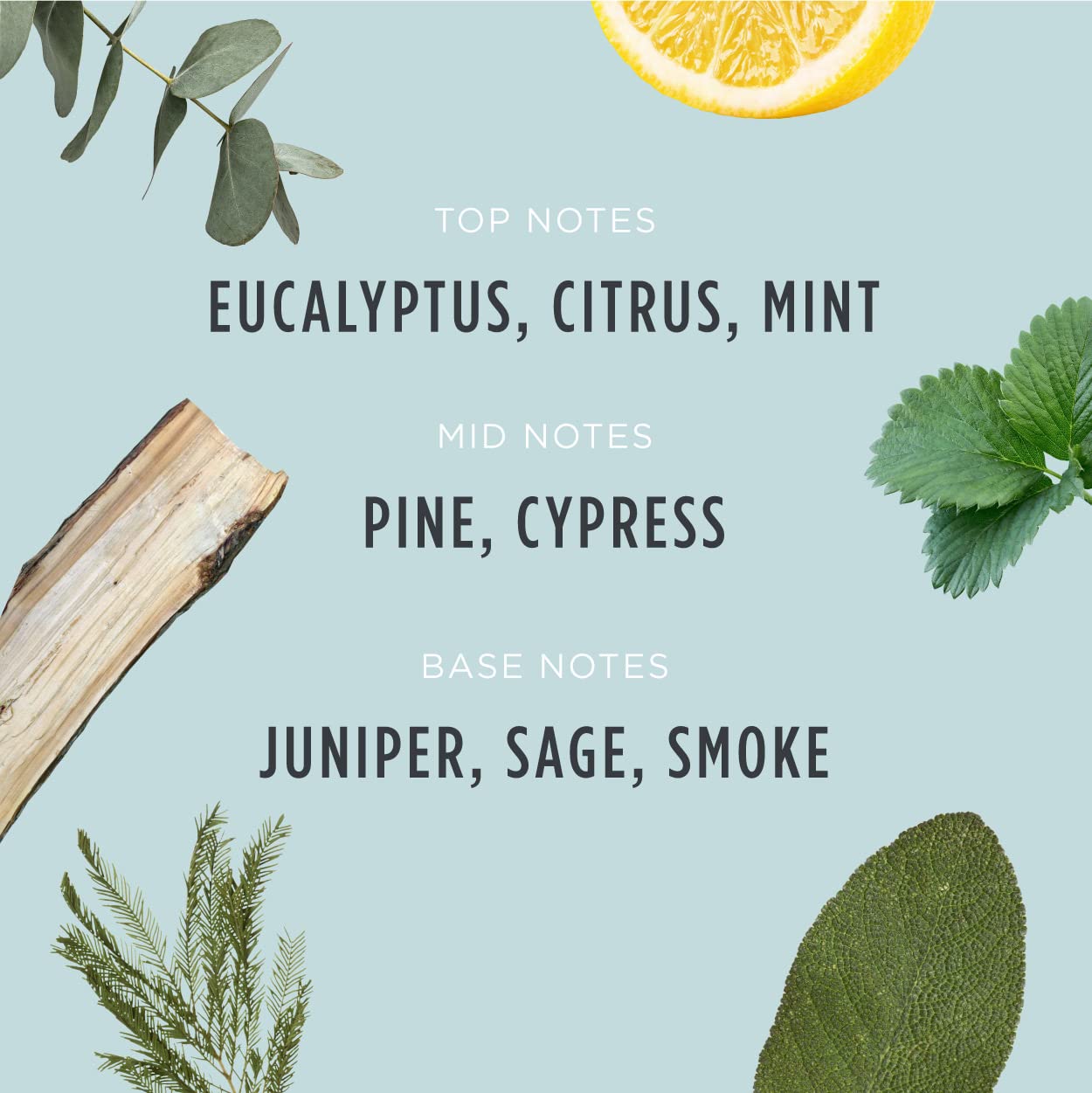 Santa's Naturals Snowfall Christmas Candle | Sweet, Bright Fragrance | Notes of Pine, Citrus, Eucalyptus | Sustainably Sourced Soy and Beeswax | 30 Hour Burn Time | 9oz | 2 Pack