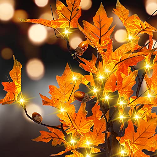 24-inch Fall Lighted Maple Tree with Acorns, 24 LED Lights, Battery Operated Thanksgiving Table Centerpieces Decoration Artificial Tree for Home Desktop Fireplace Autumn Harvest Tabletop Indoor Decor