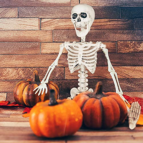 FUN LITTLE TOYS 24 Inches Halloween Posable Skeleton, Full Body Skeleton Movable Joints, Plastic Bones for Hanging Halloween Decorations