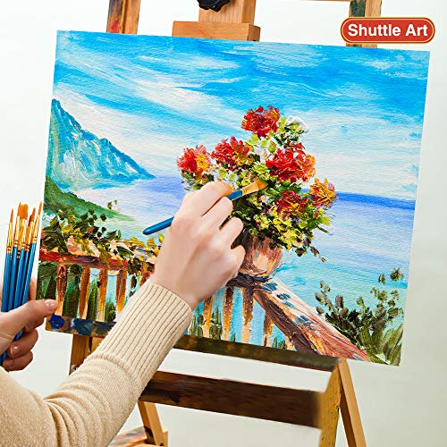 Shuttle Art Acrylic Paint Set, 30 x12ml Tubes Artist Quality Non Toxic Rich Pigments Colors Great for Kids Adults Professional Painting on Canvas Wood Clay Fabric Ceramic Crafts