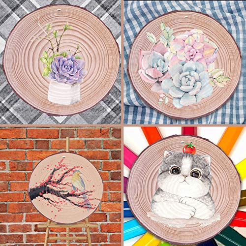 chfine Natural Wood Slices for Crafts 42 Pcs 2.4-2.8 Inches Natural Wood Unfinished Rounds with Pre-drilled Hole and 33 Feet Twine String Christmas DIY Crafts Ornaments Party Wedding Decoration