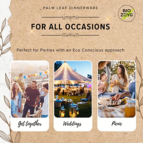 BIOZOYG | 9 inch & 6 inch & 3 inch Square Combo Plates 75 pcs | Disposable Plates | Like Bamboo plates | Palm leaf Plates for Dinner | Compostable Plates | Picnic Party Plates better than Paper Plates