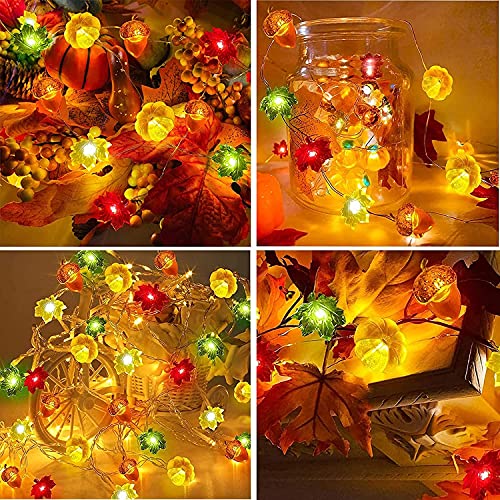 Fall Decor Fall Decorations lights for Home 30LED/10FT 3D Pumpkin Maple Leaf Acorn Battery Operated String Lights, 8 Mode Timer Remote Fall Lights Garland Indoor Outdoor Autumn Thanksgiving Halloween