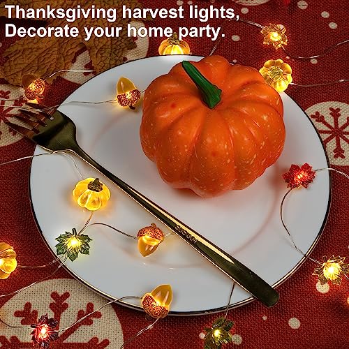 KAiSnova Thanksgiving Lights 10FT 30 LED Fall Lights 3D Pumpkin Maple Leaf Acorn Battery Operated String Lights Halloween Decorations Indoor Fall Decorations for Home Garland Party Autumn
