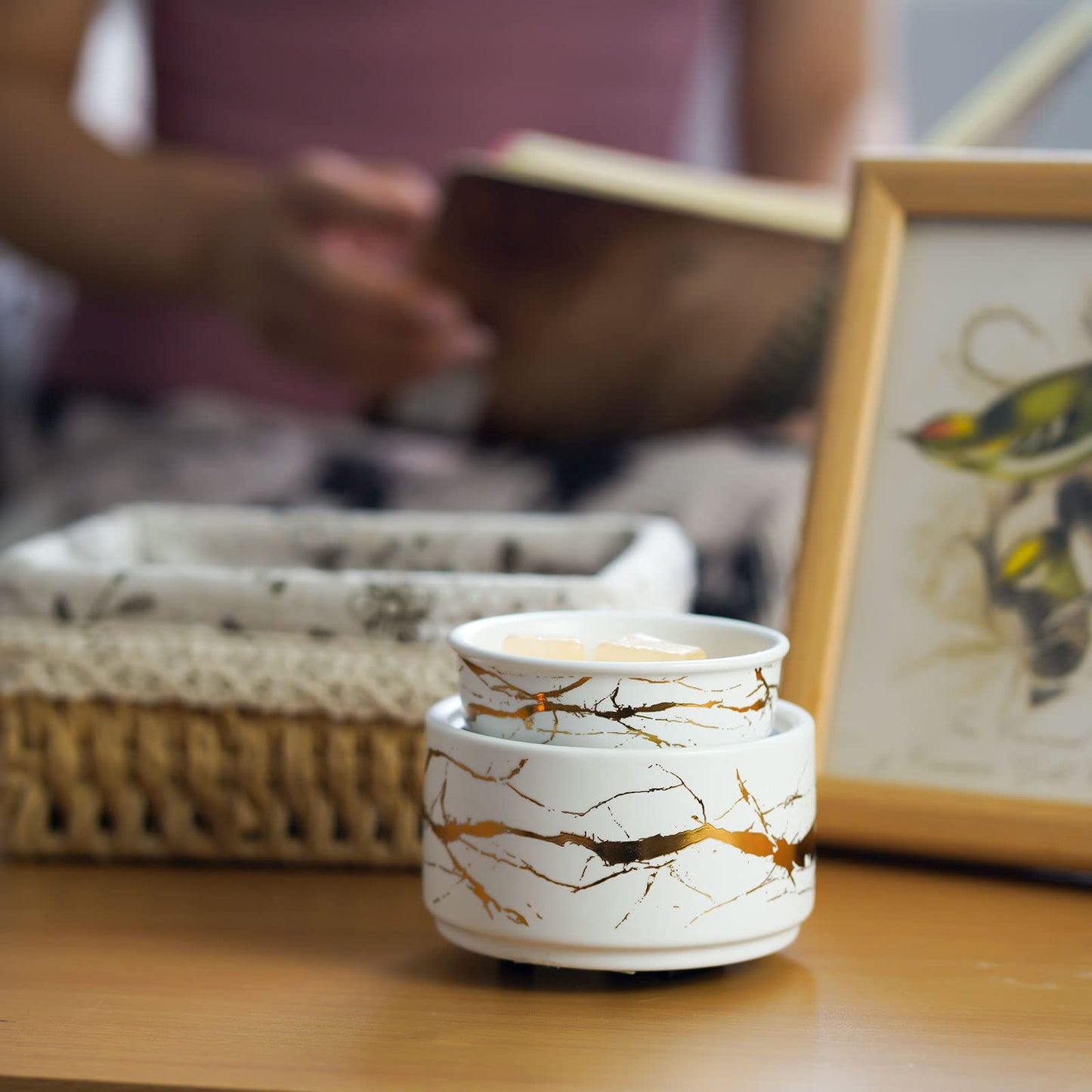 PALANCHY Wax Melt Warmer Ceramic 3-in-1 Oil Burner Electric Candle Wax Warmer Burner Melter Fragrance Warmer for Scented Waxs Home Office Bedroom Aromatherapy Gift& Décor