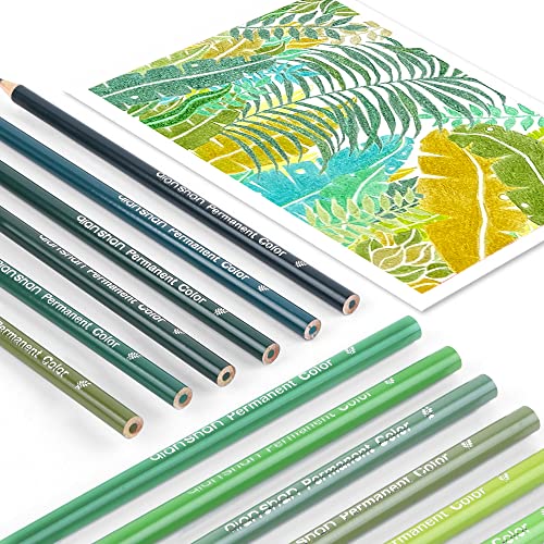 qianshan 12 Green Colored Pencils Oil Based Pre-sharpened Wooden Colored Pencil Set for Adults Coloring Books Drawing Sketching Art Supplies, No Duplicates